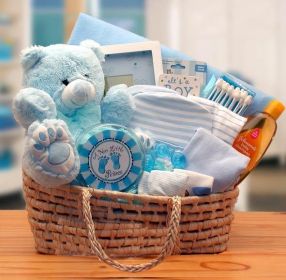 Our Precious Baby Carrier Gift Basket - Blue (Sm)