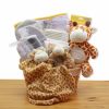 Jungle Safari New Baby Gift Basket